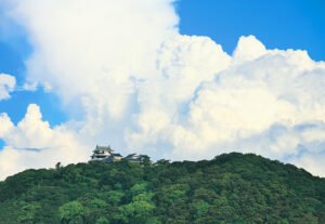 夏の松山城　マツヤマワンコインアートプロジェクト提供